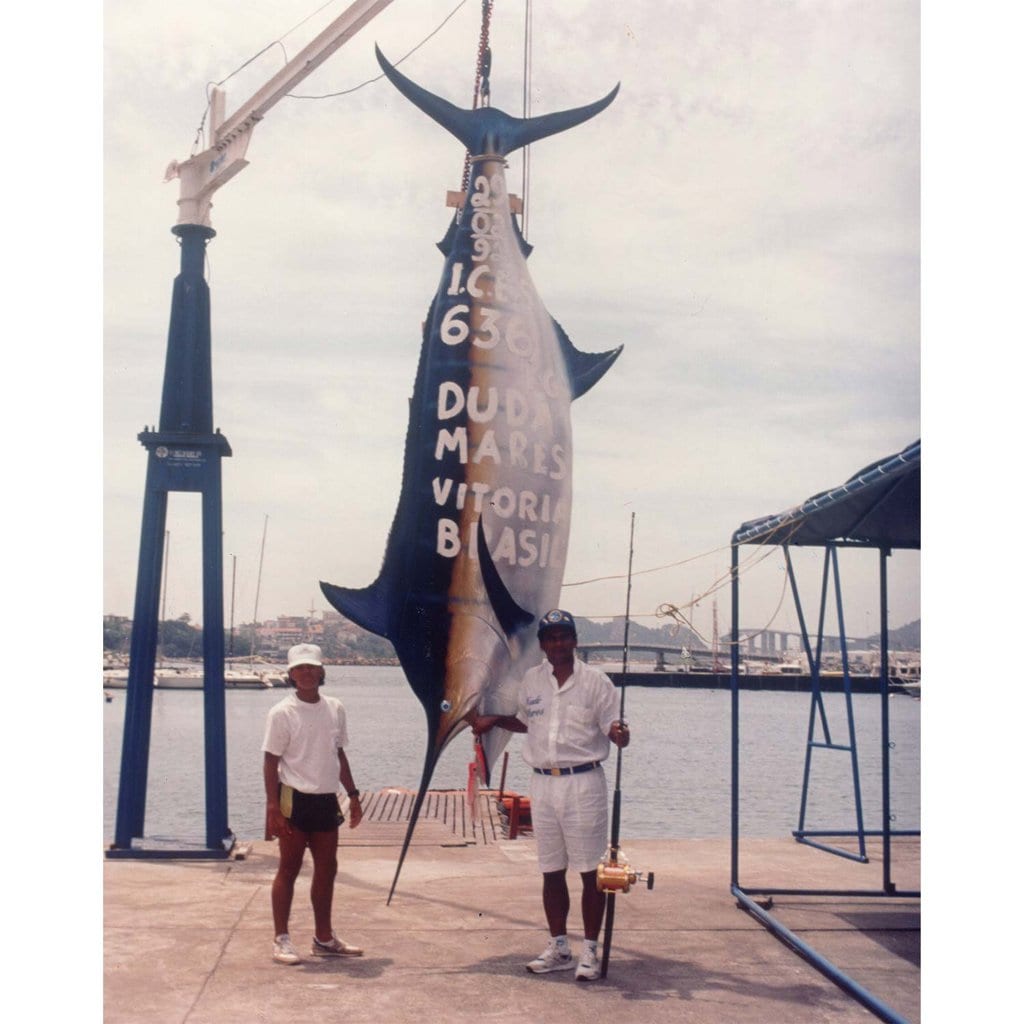 Huge Marlin Fish